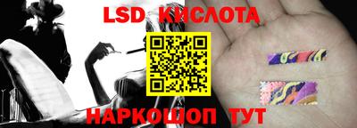 ECSTASY Гай
