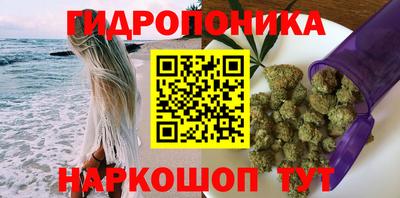 гидропоника Гагарин
