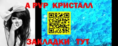ECSTASY Гай