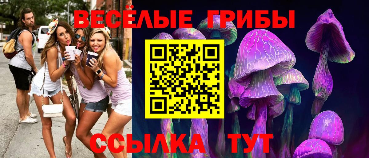 Псилоцибиновые грибы мицелий  Вход с VPN  Нефтекамск 