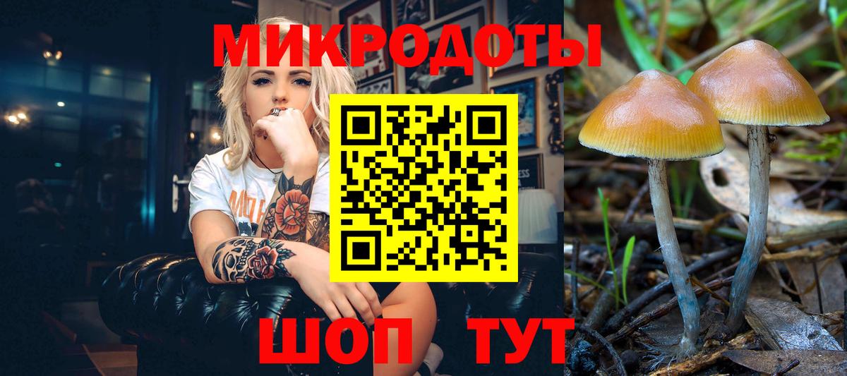 Галлюциногенные грибы прущие грибы Нефтекамск